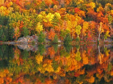 The Impact of Climate Change on American Fall Foliage
